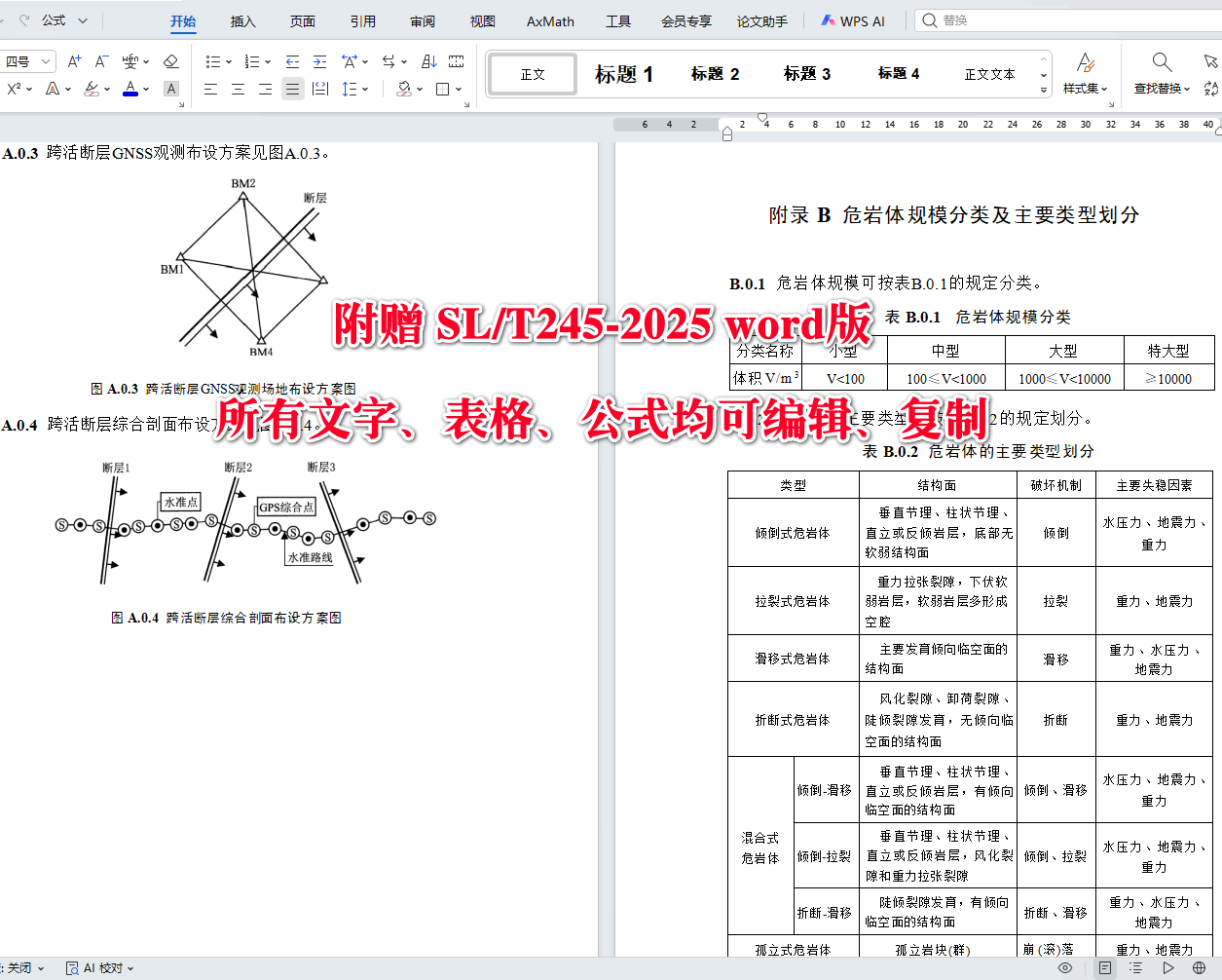《水利水电工程地质观测规程》（SL/T245-2025）【全文附高清无水印PDF+可编辑Word版下载】4