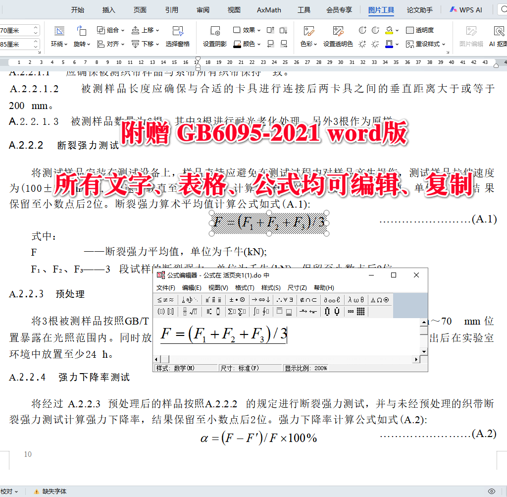 《坠落防护安全带》（GB6095-2021）【全文附高清无水印PDF+可编辑Word版下载】4